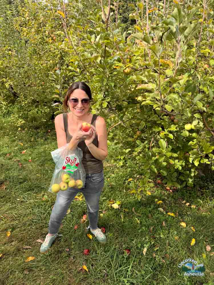 Christine apple picking Sky Top Orchard Flat Rock NC