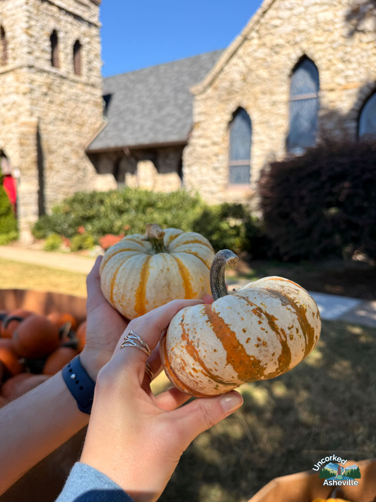 Grace Episcopal Church baby pumpkins Asheville NC