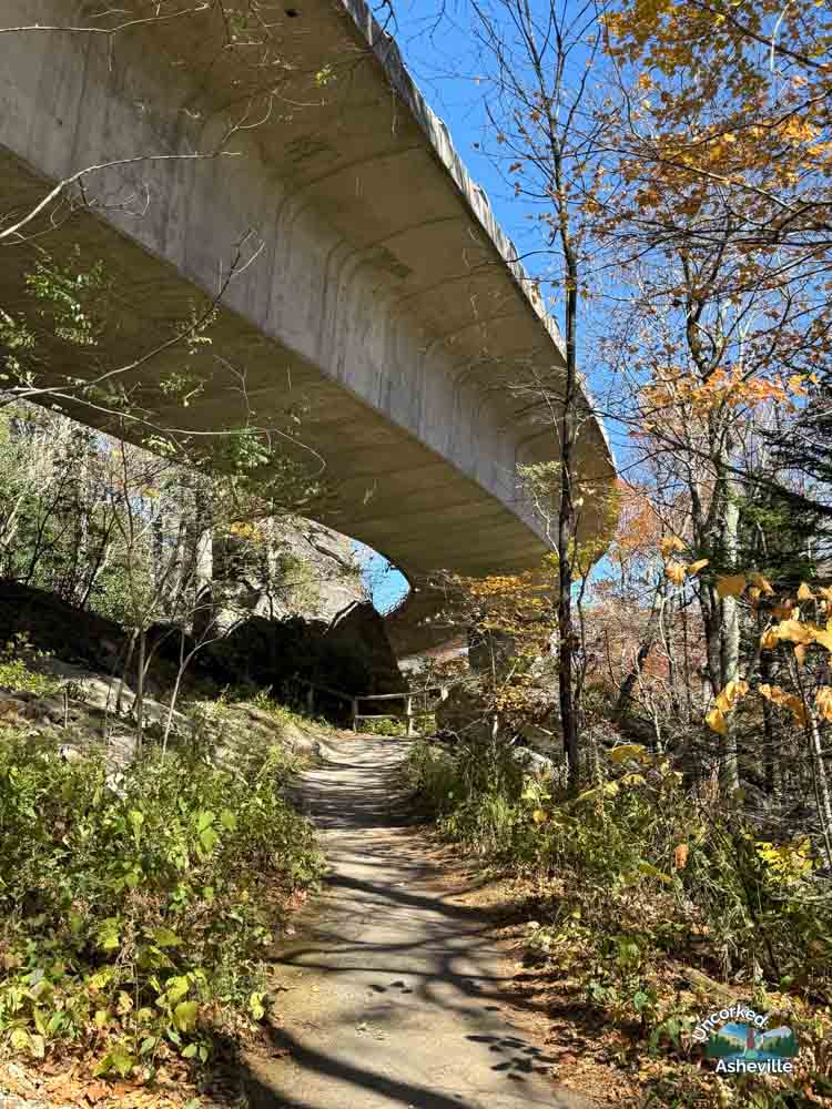 Linn Cove Viaduct with fall leaves Blue Ridge Parkway NC