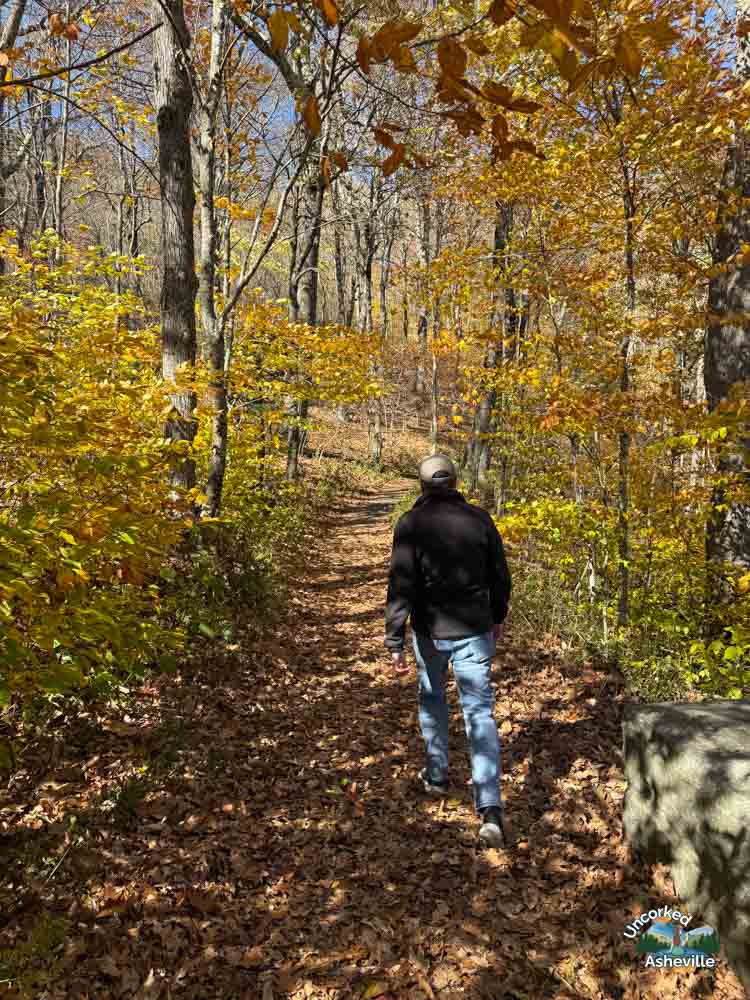 Tom hiking Linn Cove Viaduct Tanawha Trail NC with fall colors