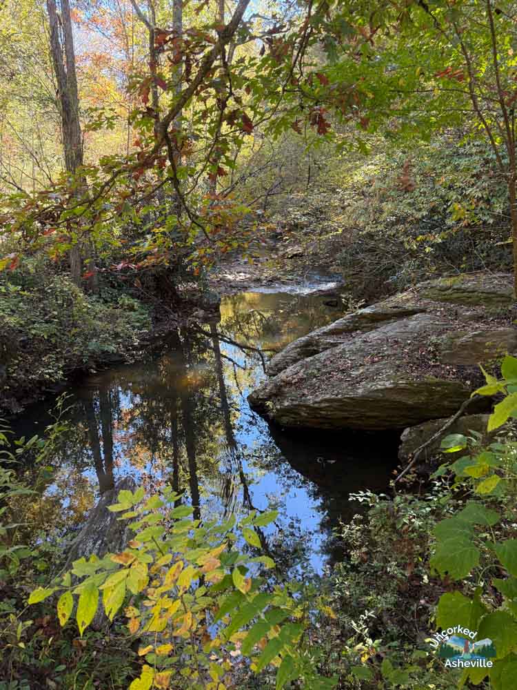 NC Arboretum Asheville Hiking Trails