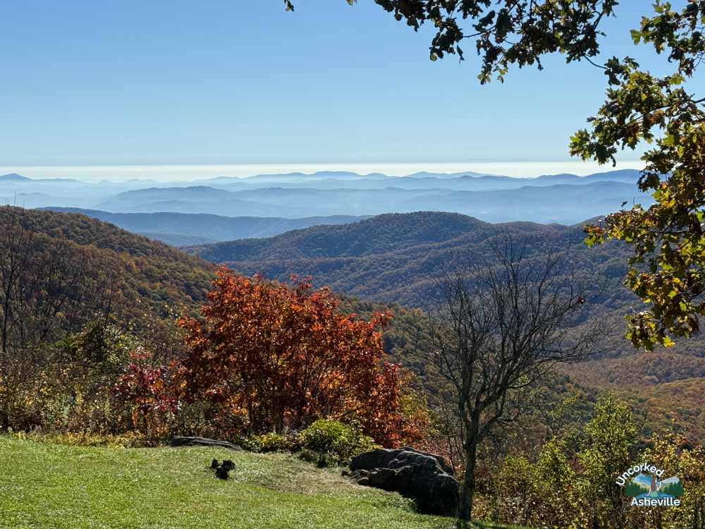 Pisgah Inn fall leaves Blue Ridge Parkway