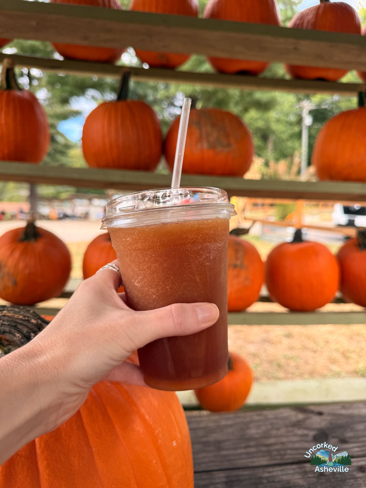 Sky Top Orchard cider slushie Flat Rock NC
