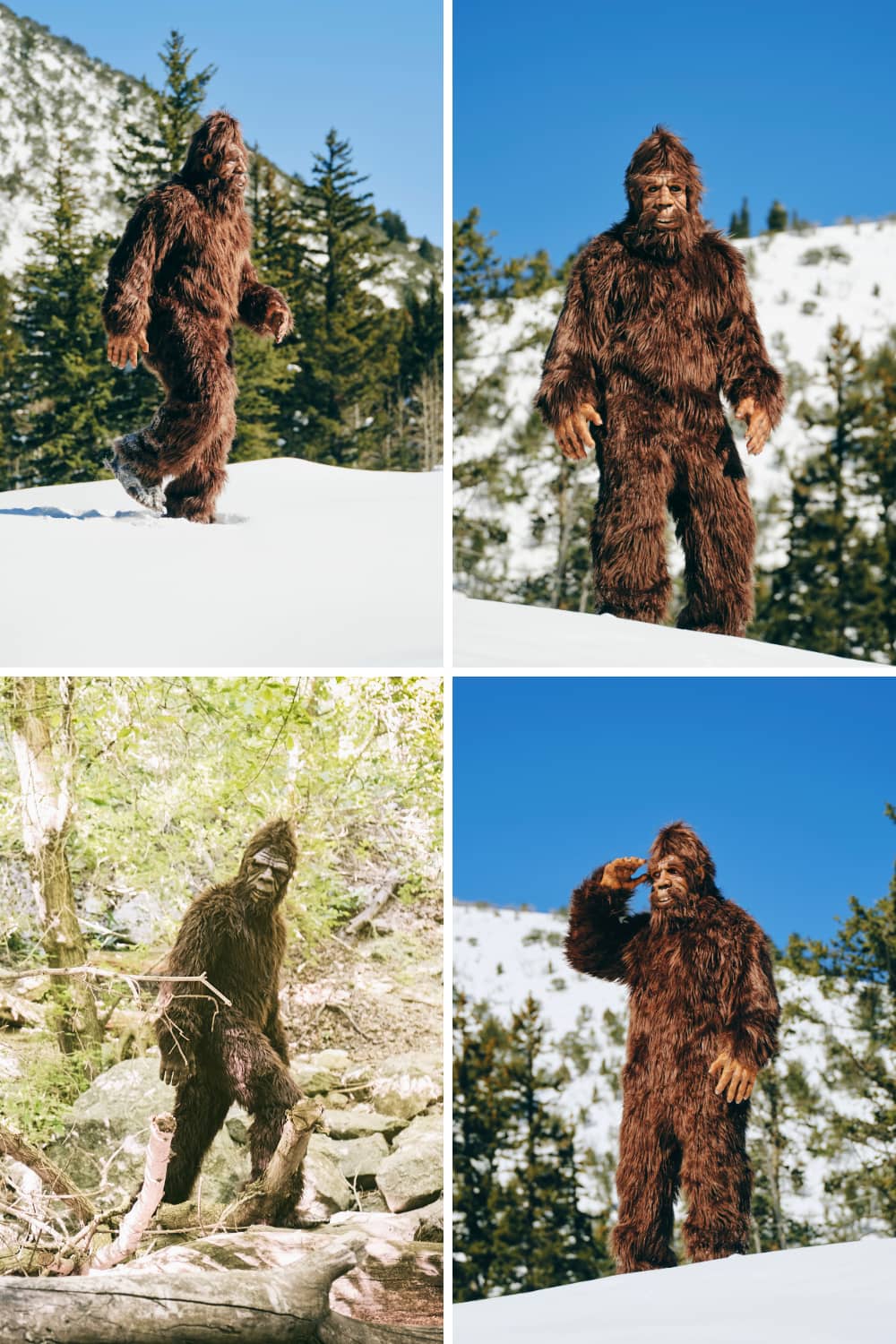 Bigfoot NC photo collage