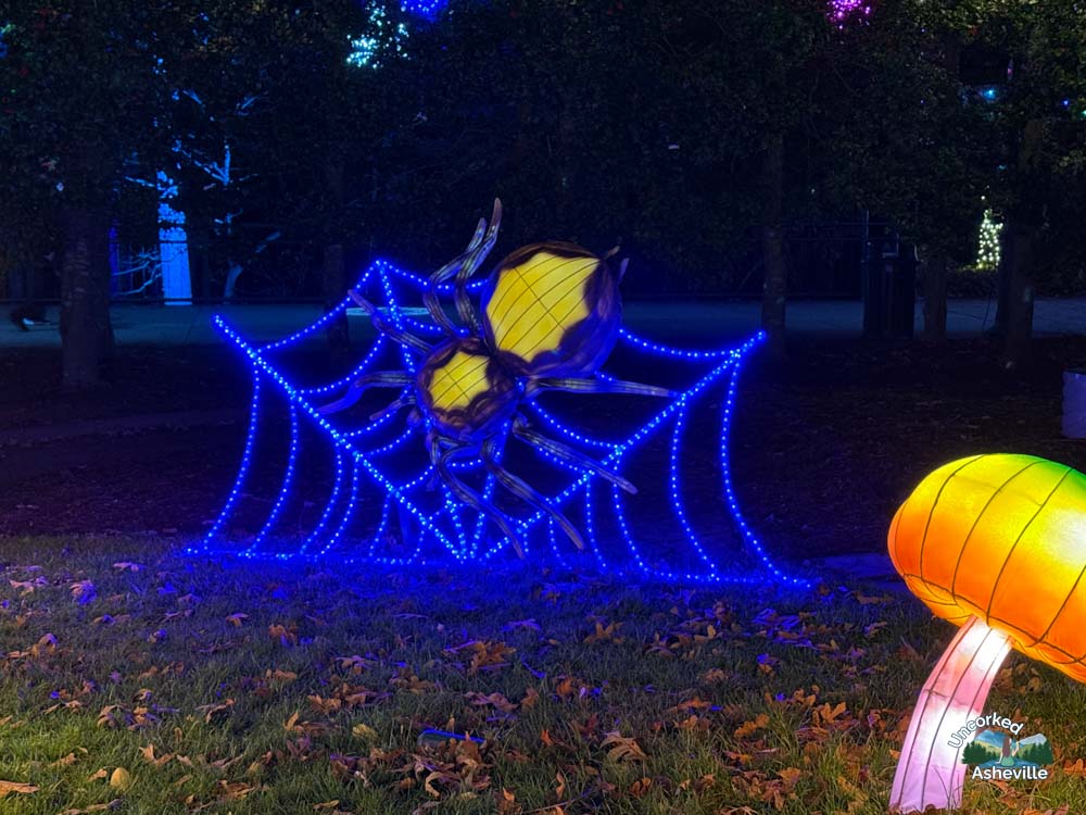 Spider Web Light Display Winter Lights NC Arboretum Asheville NC