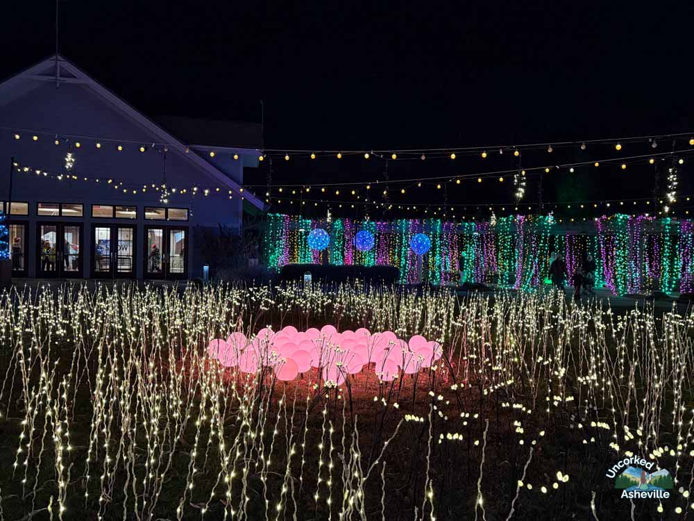 Visitor Center Winter Lights pond display NC Arboretum Asheville