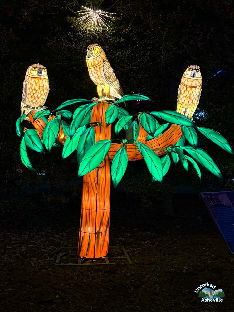 Winter Lights Asheville Owl Light Display NC Arboretum