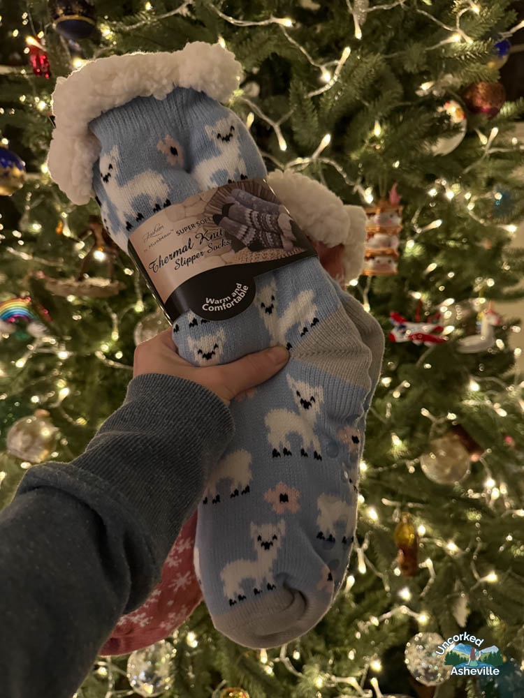 Winter Lights Warm Socks NC Arboretum Asheville